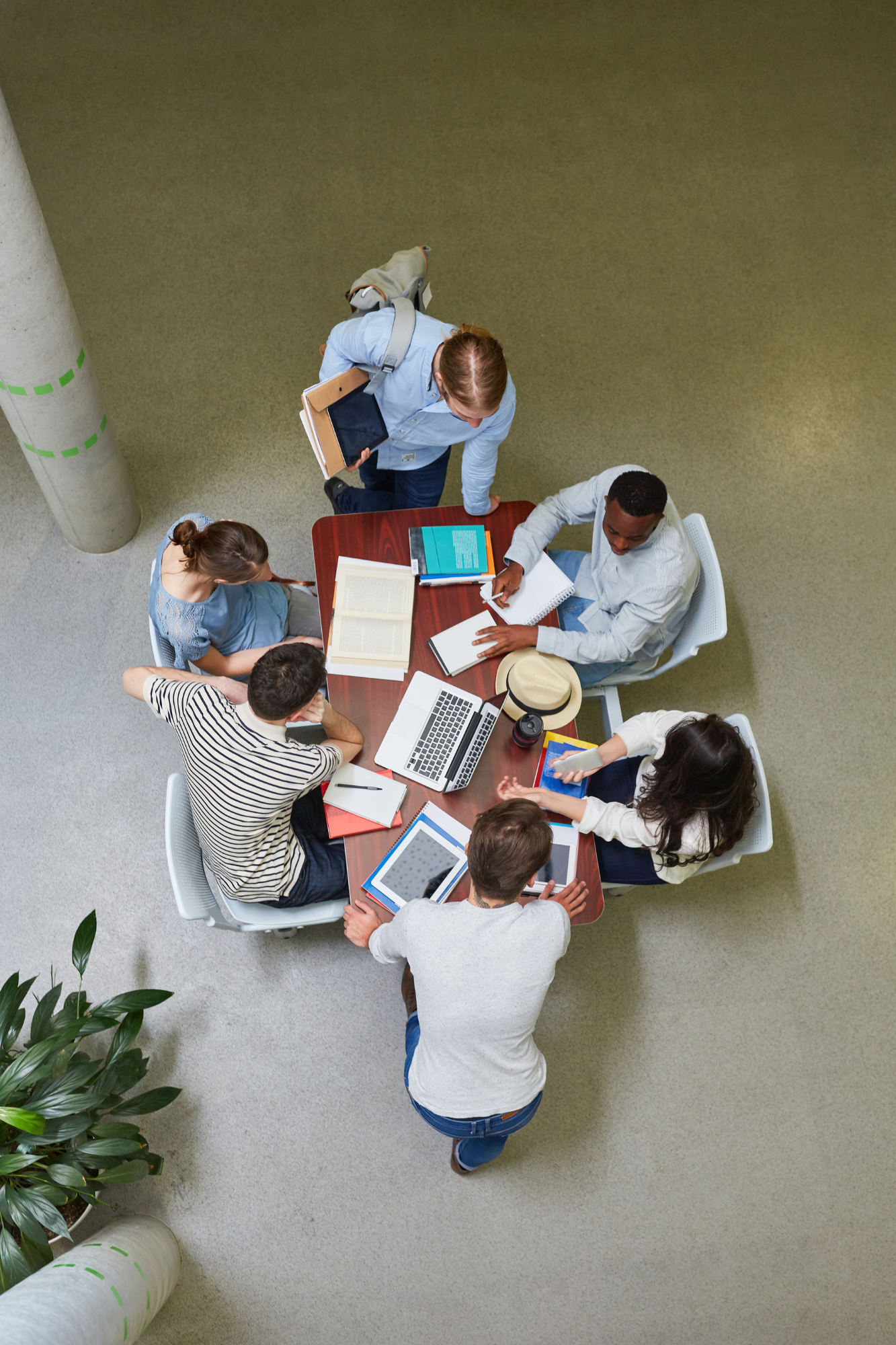 Como Organizar um Grupo de Estudo para Concursos Públicos e Acelerar sua Aprovação